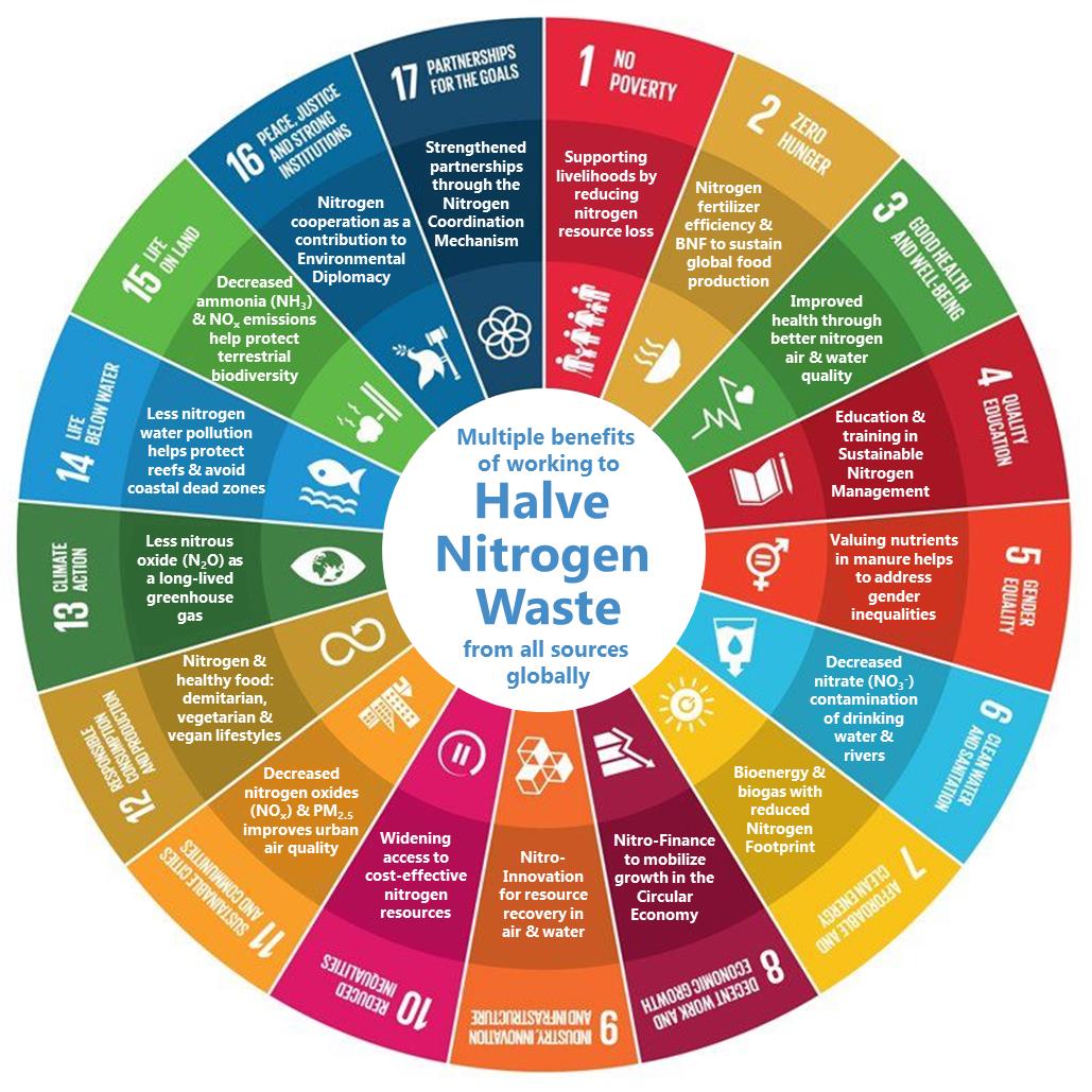 First ebriefing for the Nitrogen Working Group of the United Nations